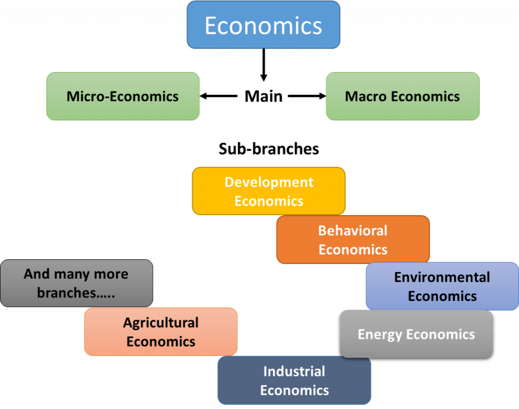 Figure 1 Branches  of Economics by Subject